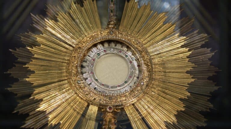 VIGILIA DE ESPIGAS 2025 – ECIJA